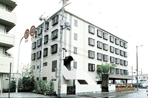 ドーミー平野