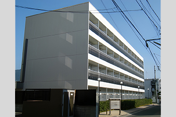 ドーミー新潟