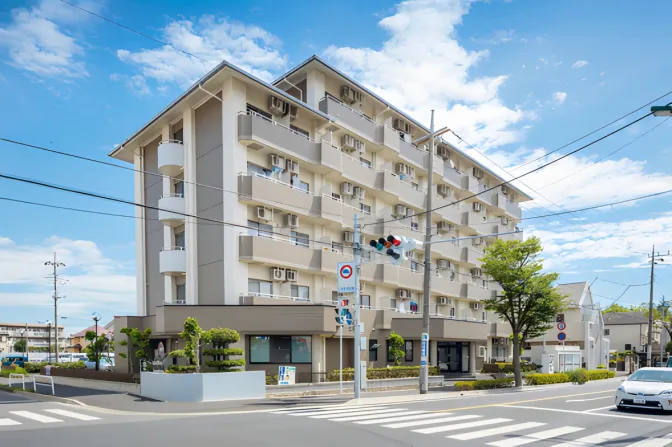 ドーミー桜新町