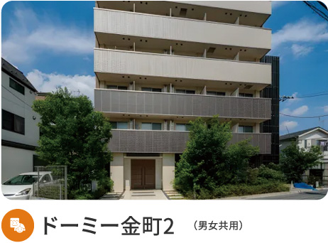 ドーミー金町2
