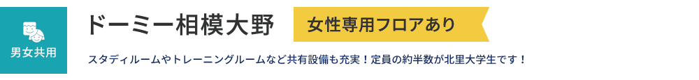 ドーミー相模大野