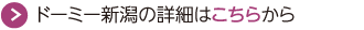 ドーミー新潟詳細