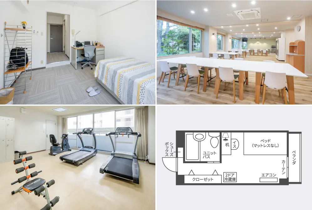 ドーミー相模大野