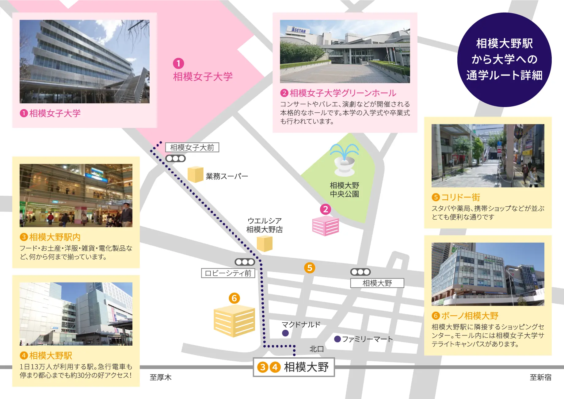 相模大野駅から大学への通学ルート詳細