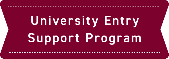 University Entry Support Program